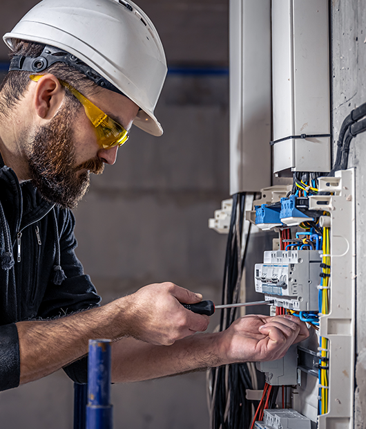 Renovación eléctrica 1